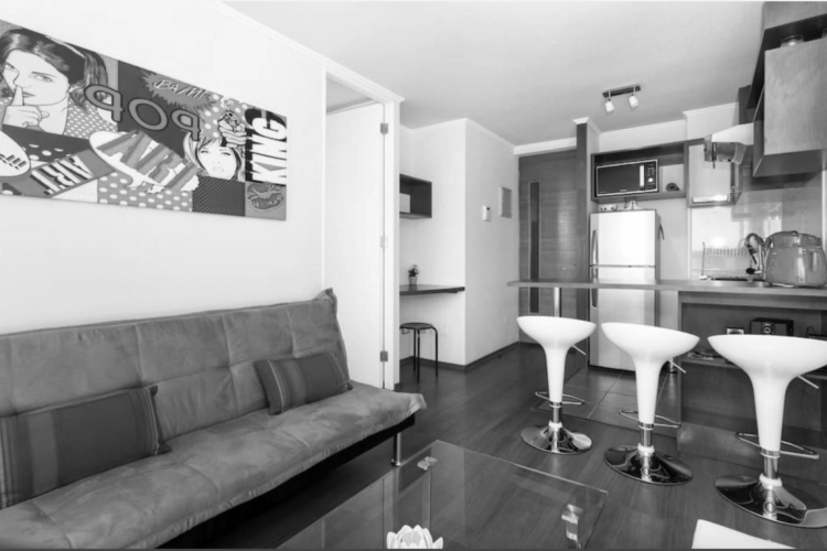 Departamento Luminoso Amoblado Vista Poniente