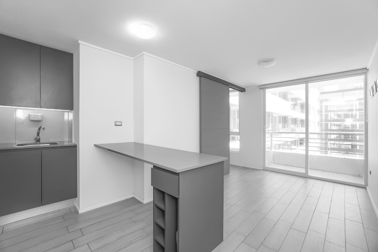 Departamento Semi Nuevo En Santiago