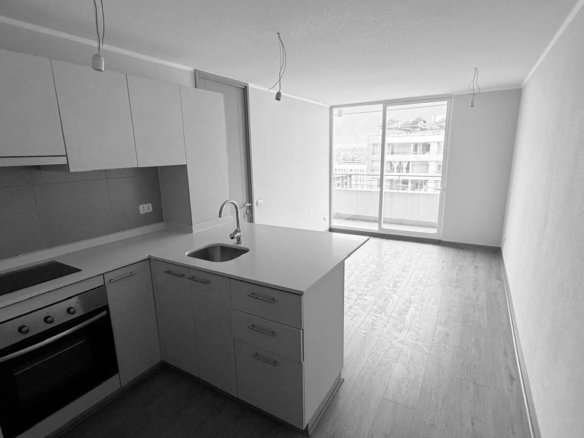 Departamento Nuevo a Estrenar con Terraza a lo Largo y Bodeg